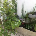 Grande Maison De Atypique - 4 Nuits Mini Hébergement de vacances La Seyne-sur-Mer